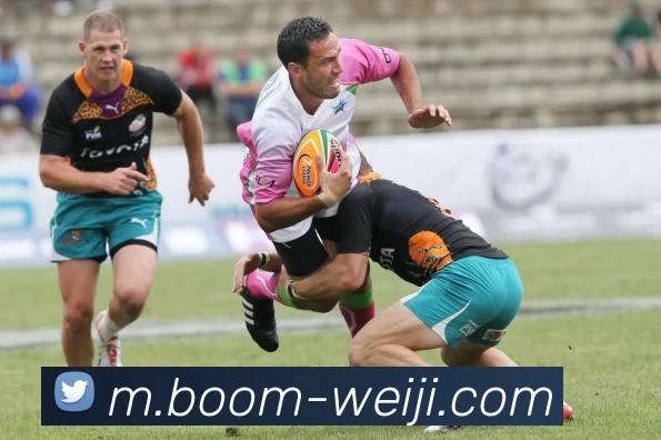 维基体育发展历程